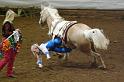 Trick Riding Competition G